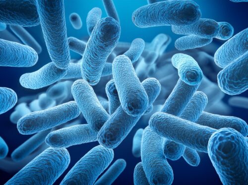 bacteria-05022026-02